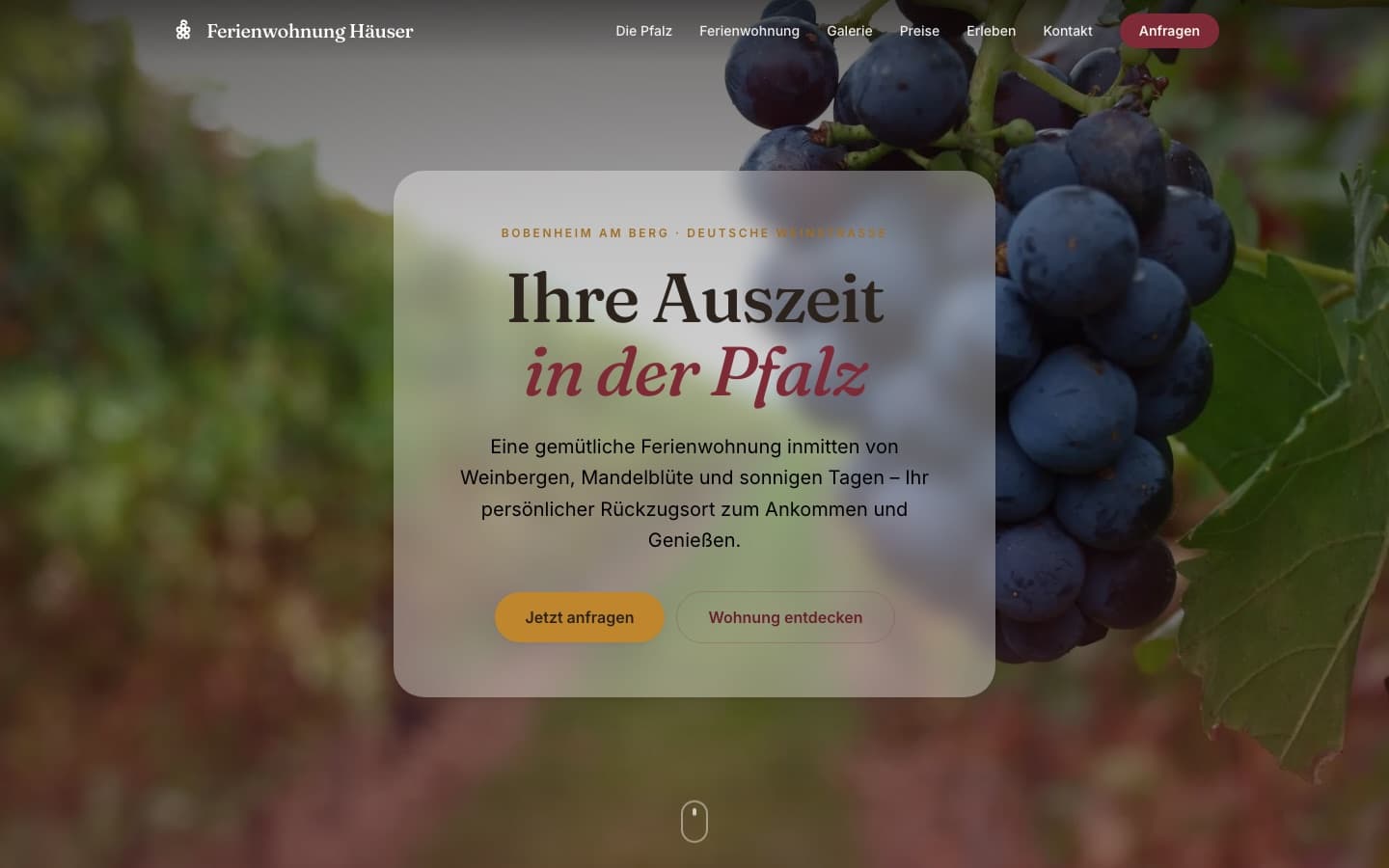 Ferienwohnung Häuser, Website – Ferienwohnung in Bobenheim am Berg, Pfalz